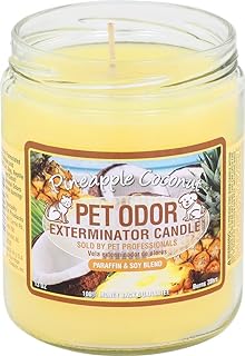 Pet Odor Exterminator Candle, Pineapple & Coconut - Pack of 2