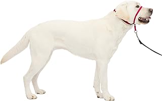PetSafe Gentle Leader No-Pull Dog Headcollar - The Ultimate Solution to Pulling - Redirects Your Dog's Pulling For Easier Walks - Helps You Regain Control - Large, Raspberry Pink