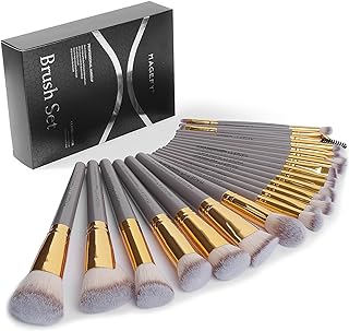 Makeup Brushes 22 Pcs Make up Brushes Premium Synthetic Makeup brushes Set Professional Face Powder Blush Pointed Eyeshadow Blending Brush Kit(Champagne)