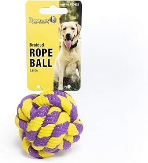 Braided Rope Ball Toy for Dogs and Other Small Pets (Large (2.75-inch))